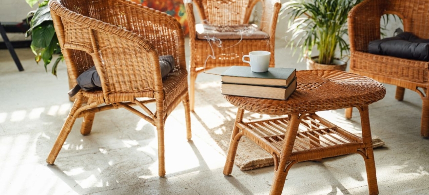 Eco-Conscious Furniture