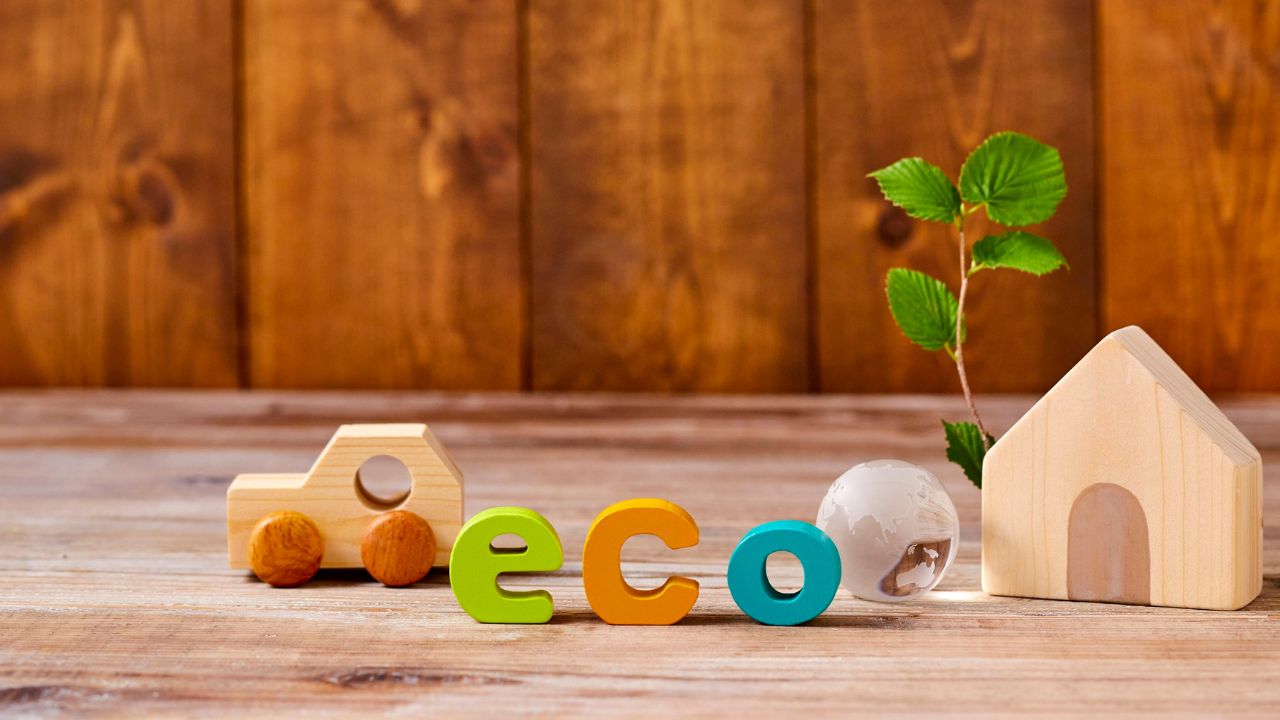 Eco-Conscious Toys