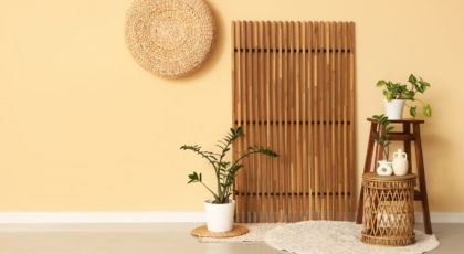 Bamboo Furniture