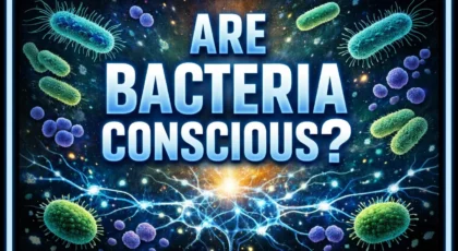 Are Bacteria Conscious?