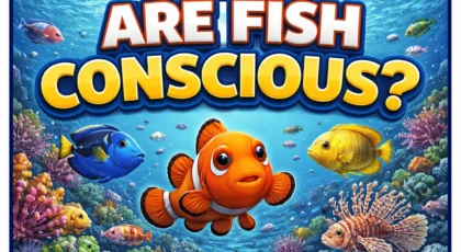 Are Fish Conscious?
