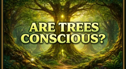 Are Trees Conscious?