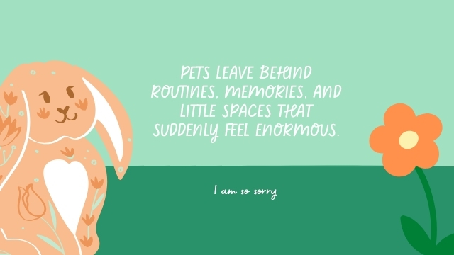 Loss of a Pet Sympathy Card