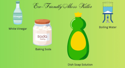 Eco-Friendly Moss Killers