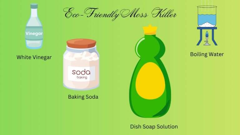 Eco-Friendly Moss Killers
