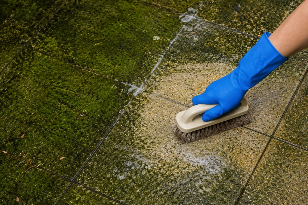 Manual Scrubbing on Moss