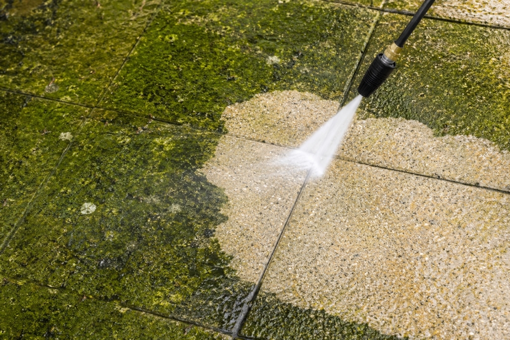 Pressure Washing on Moss