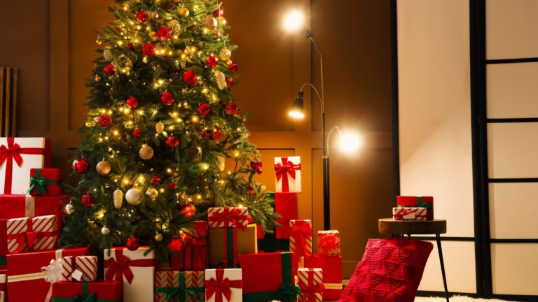 Store Christmas Decorations in room